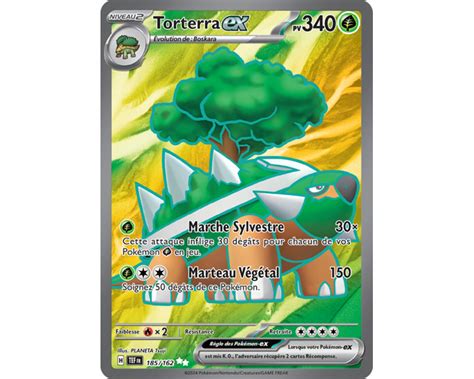 Torterra Ex Pv Illustration Rare Secr Te Full Art