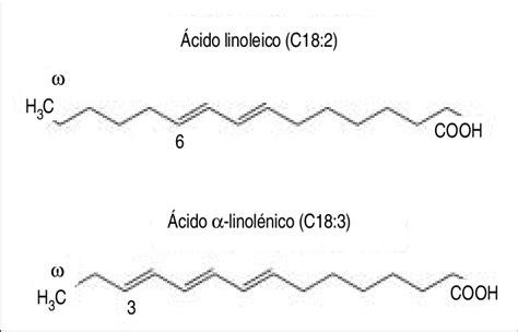 Composición química ACEITE DE COLZA