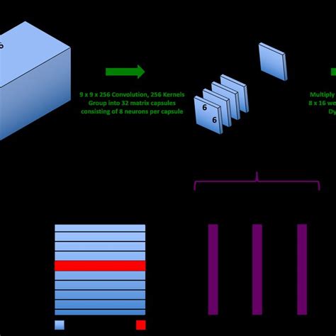 Top Three Layer CapsNet Architecture Following Sabour Et Al 14