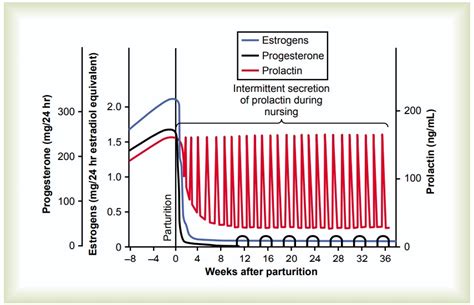 Initiation of Lactation-Function of Prolactin