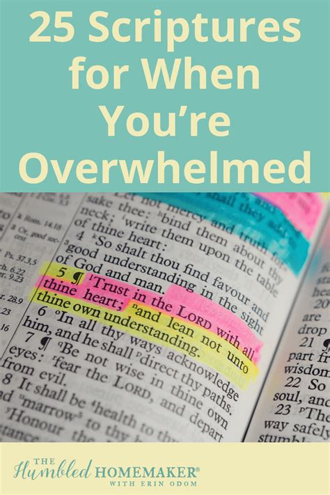 25 Scriptures For When Youre Feeling Overwhelmed