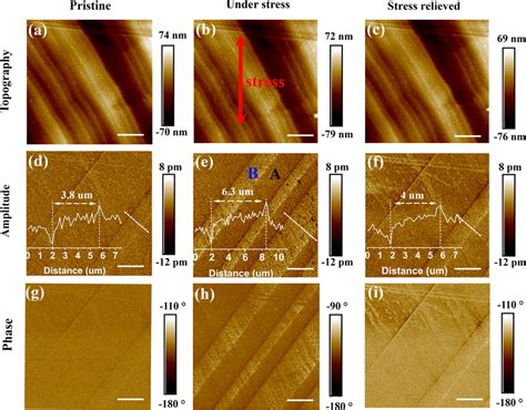 External Stress Modulation Of Ferroelastic Domain Patterns A And B