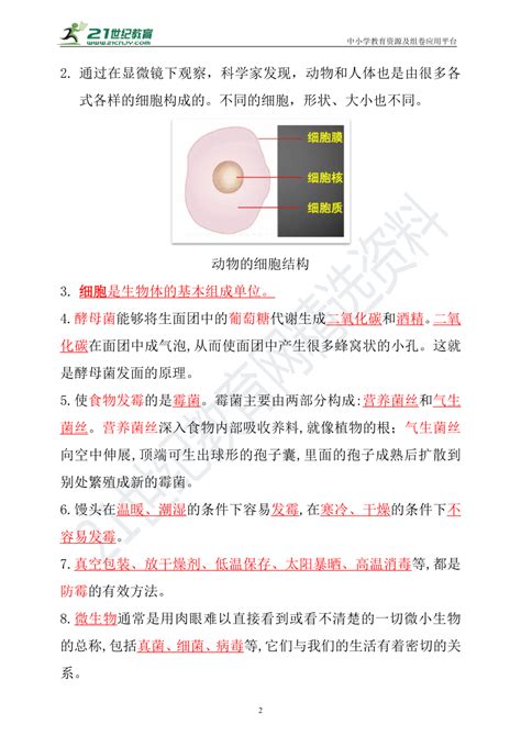 新大象版科学六年级上册准备单元第一单元知识点总结练习21世纪教育网 二一教育