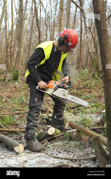 Man Cutting Down Tree Chainsaw Hi Res Stock Photography And Images Alamy