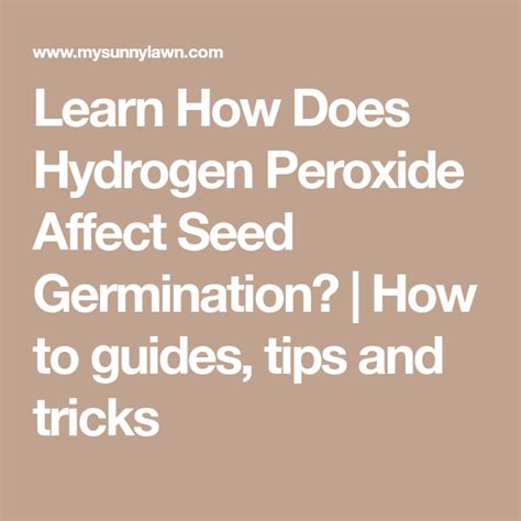 Learn How Does Hydrogen Peroxide Affect Seed Germination? | How to ...