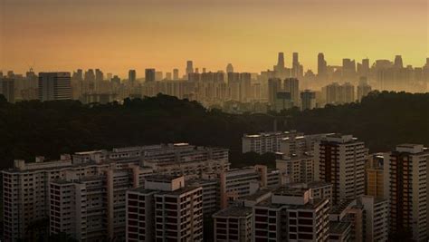 Farming in the Sky in Singapore - Our World