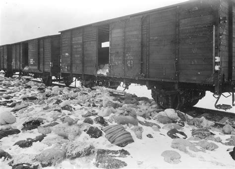 Le Train Des Enfants A Holocaust Story Of Courage And Resilience