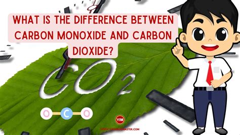 What Is The Difference Between Carbon Monoxide And Carbon Dioxide Your Info Master