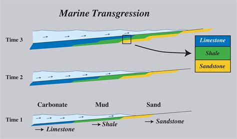 marine transgression diagram geology pics