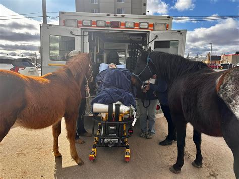 Made Me Smile: Regina community came together to help a palliative care