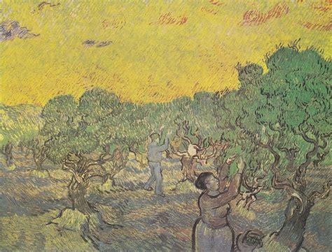 Unique Show To Display All Van Gogh S Olive Groves For St Time Daily