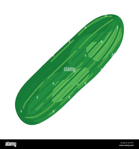 Cucumber Fresh Vegetable Healthy Icon Stock Vector Image And Art Alamy