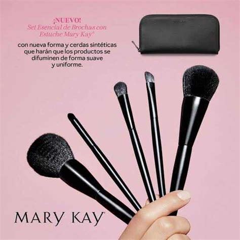 Set Esencial De Brochas Con Estuche Mary Kay® 5 Bochas 98000 En Mercado Libre