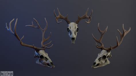 Deer Skull 3d Model Turbosquid 2176597