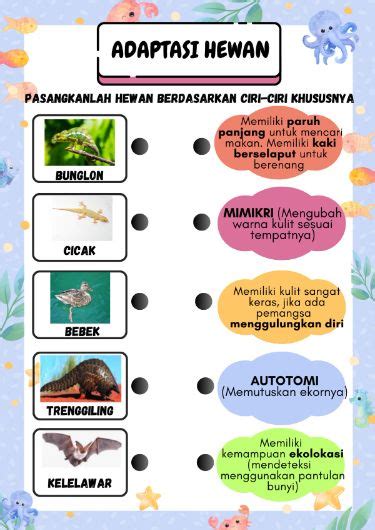 Adaptasi Hewan Sains Kelas 6 Kelas Enam Ipa