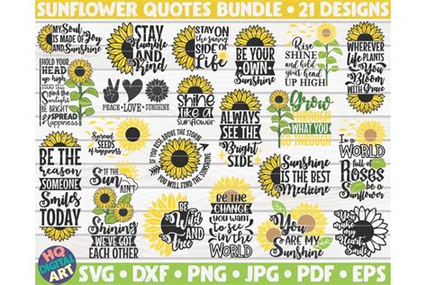 Sunflower Quotes Bundle Svg 21 Designs By Hqdigitalart