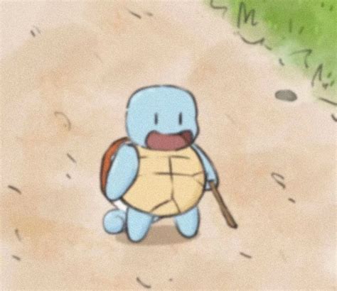 Pokemon Memes Pokemon Funny Pokemon Go Cute Pokemon Pfp Squirtle