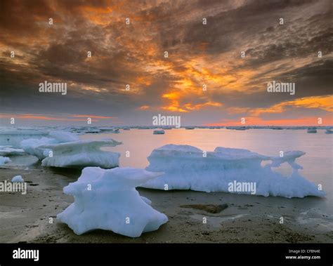 Icebergs in Hudson's Bay, Churchill, Manitoba, Canada Stock Photo - Alamy