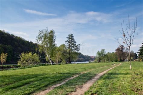 Footpath Along The River Stock Image Image Of Green 43399949