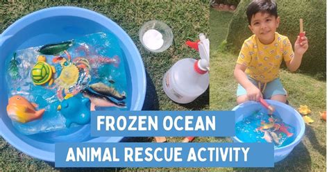 Frozen Ocean Animal Rescue Activity - Urban Indian Mom