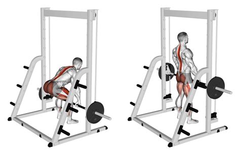 Can You Deadlift On A Smith Machine Yes Here S How Inspire Us