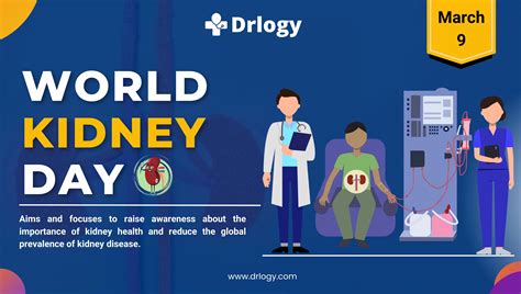 World Kidney Day March 9: History, Theme & Prevention Tips - Drlogy