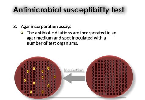 Antibacterial Susceptibility Tests Dilution And Disk Diffusion Methods