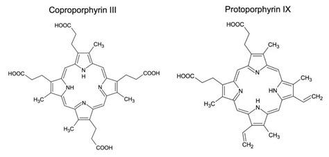 Porphyrins Ismael Galván Lab