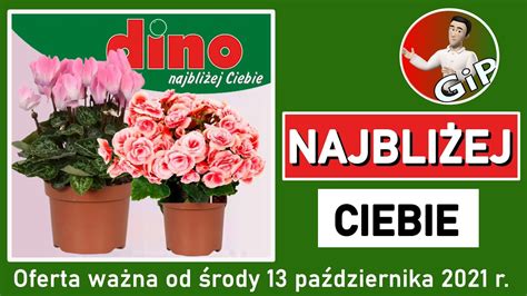 DINO Nowa Gazetka od Środy 13 10 2021 Oferta Tygodnia YouTube