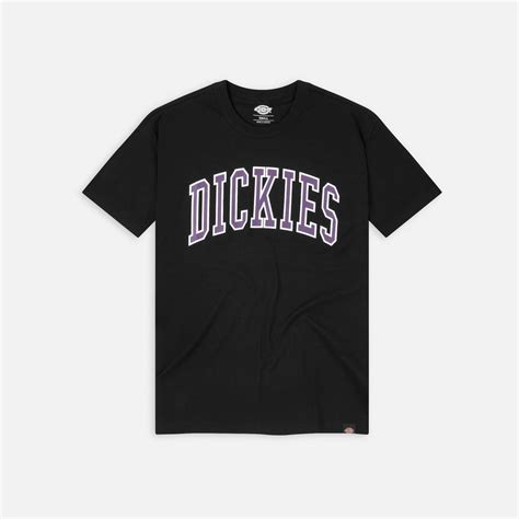 Dickies Aitkin T Shirt Black Imperial Palace Mens