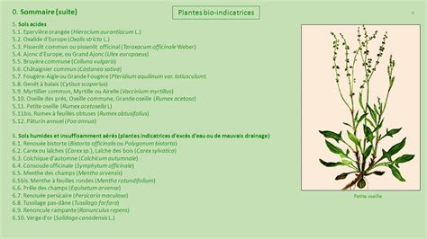 Plantes bio indicatrices de France ppt télécharger