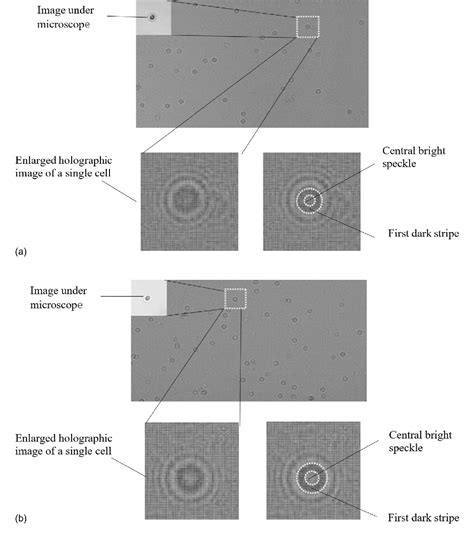 Figure From Detection Of Viability Of Micro Algae Cells By