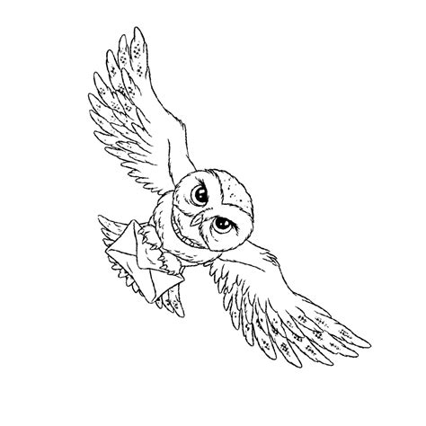 Harry Potter Hedwig Coloring Page - clowncoloringpages