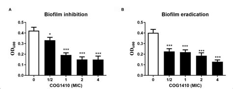 Figure Coggggg Exhibited Biofilm Inhibition And Eradication Activities