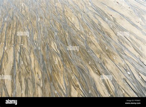 ripple marks on a sand beach Stock Photo - Alamy