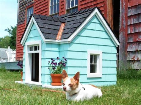 20 Modern Pet House Design Ideas for Cats and Dogs