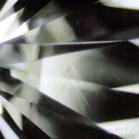 Diamond Inclusions Defined Gia 4cs Blog