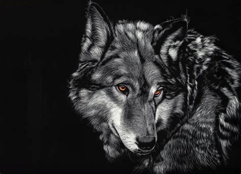 Wolves K Wallpapers Top Free Wolves K Backgrounds Wallpaperaccess