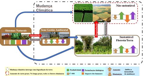 As 5 Mudanças No Uso E Cobertura Da Terra Na Caatinga Nas últimas Décadas