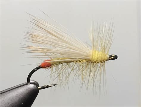 Caddis Chronicles: The Yellow Sally - The Summertime Stonefly