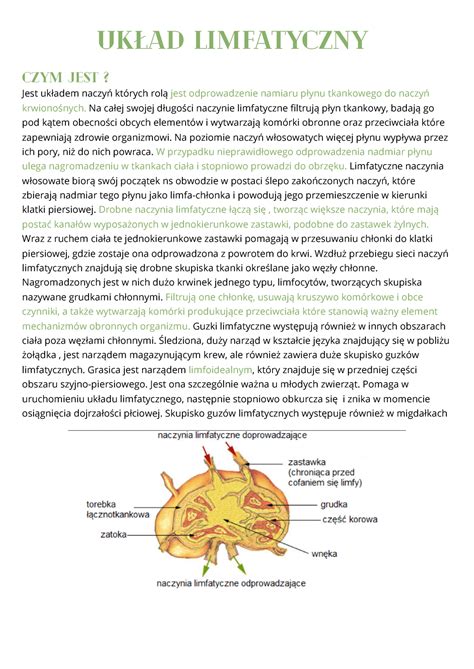 Układ limfatyczny 1 Układ limfatyczny Czym jest Jest układem naczyń