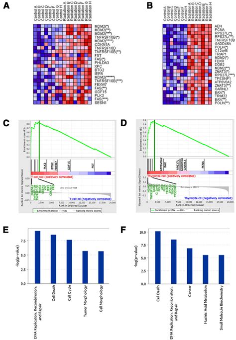 Radiation induces similar transcriptional programs related to DNA ...