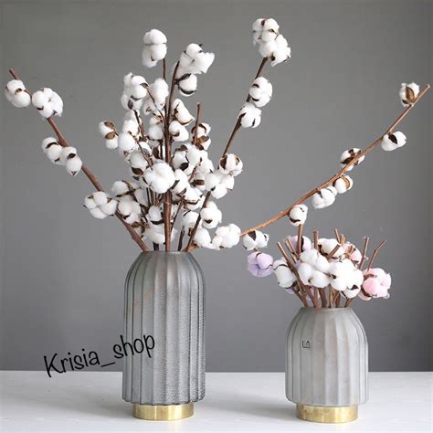 Jual Cotton Dried Flower Bunga Kapas Preserved Flower