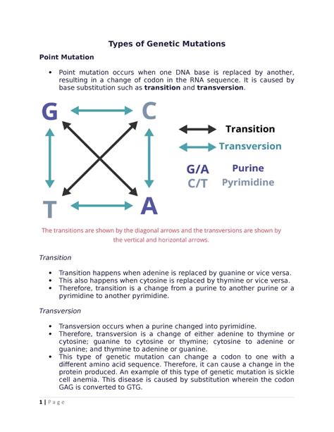 Types of Genetic Mutations - Types of Genetic Mutations Point Mutation ...