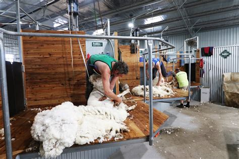 Shearing Shed Coliban Estate Redesdale Victoria Proway