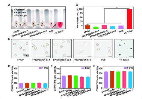 Biocompatibility Evaluation Of Hydrogels A The Optical Picture Of