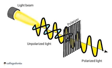 Polarization Of Light Types Methods And Applications