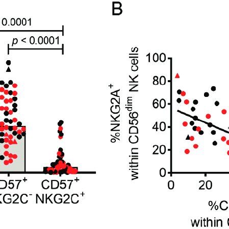 Phenotypic Characterization Of Highly Differentiated CD57 NKG2C NK