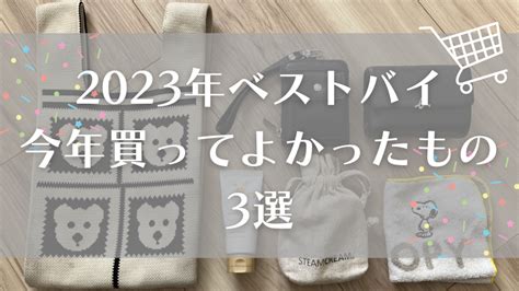 2023年ベストバイ今年買ってよかったもの3選 ちみちみライフブログ