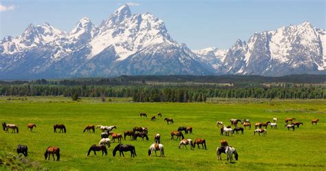 Things To Do In Grand Teton National Park Complete Guide To Wyoming